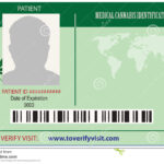 Identification Card Patient Marijuana Stock Vector Pertaining To Mi6 Id Card Template