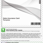 Large Size Of Geico Insurance Card Template Software In Car Insurance Card Template Download