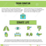 Organ Donation Template Stock Vector. Illustration Of Cornea In Organ Donor Card Template