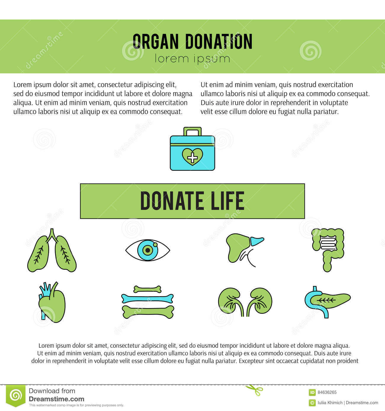 Organ Donation Template Stock Vector. Illustration Of Cornea In Organ Donor Card Template