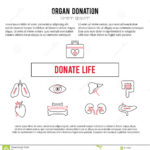 Organ Donation Template Stock Vector. Illustration Of Design With Regard To Organ Donor Card Template