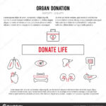 Organ Donation Template — Stock Vector © Julia Khimich Intended For Organ Donor Card Template