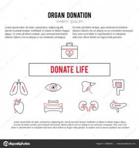 Organ Donation Template — Stock Vector © Julia_Khimich intended for Organ Donor Card Template