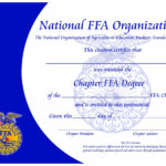 Paper Certificates For Life Saving Award Certificate Template