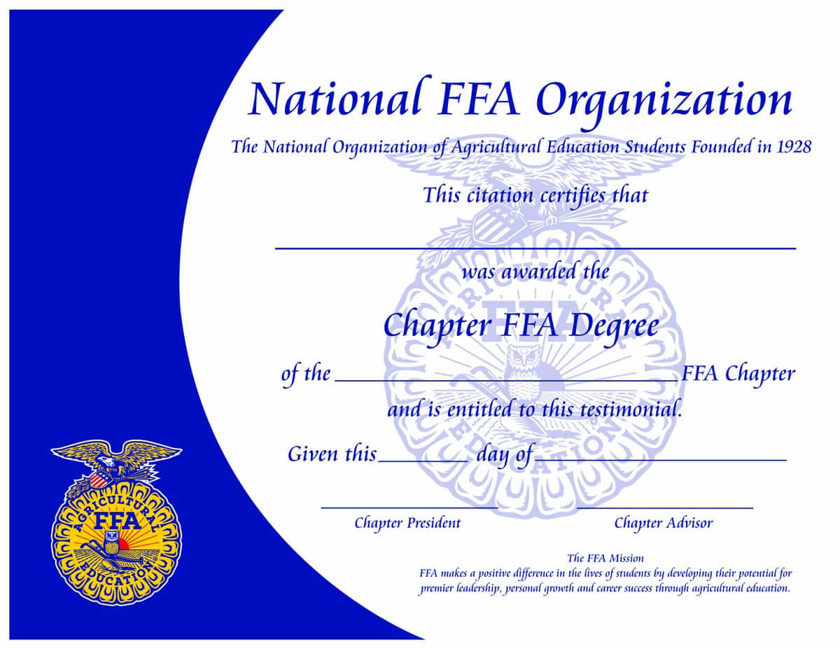 Paper Certificates For Life Saving Award Certificate Template