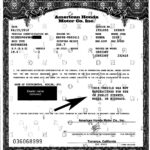 Plated Ktm | Licensing Express In Certificate Of Origin For A Vehicle Template