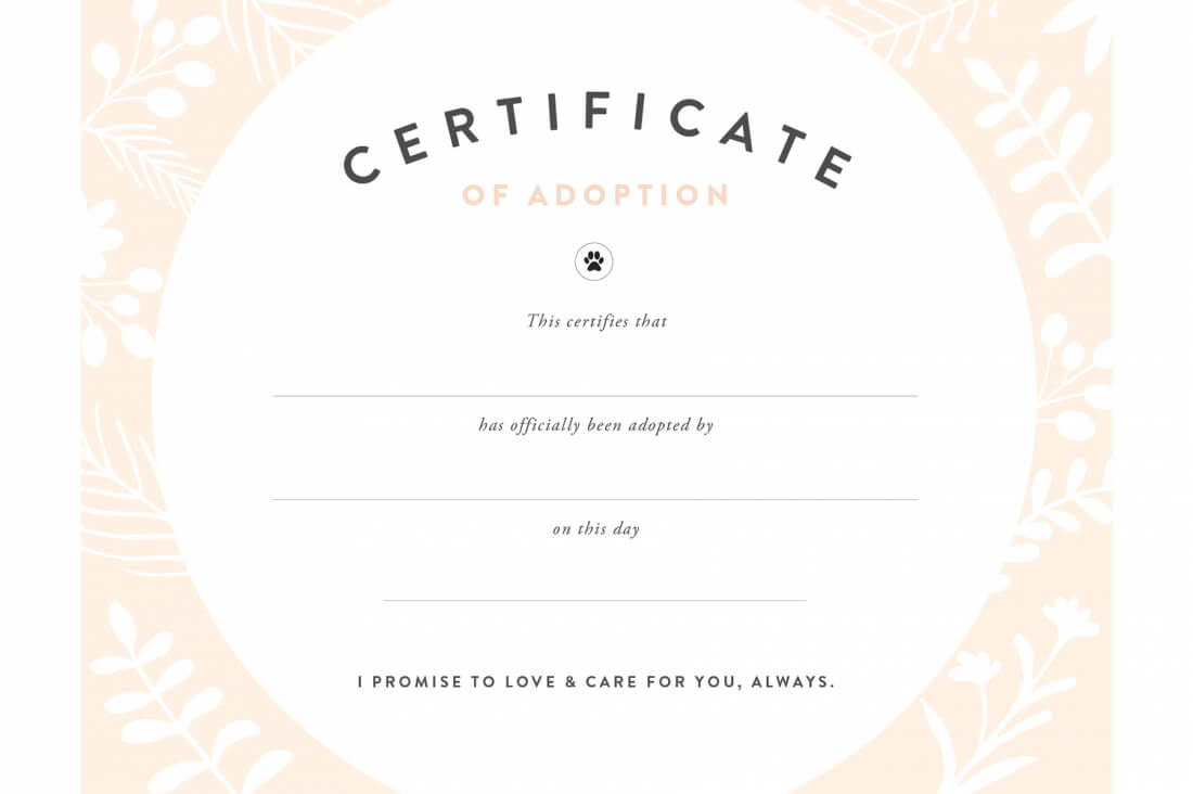 Pretty Fluffy Regarding Pet Adoption Certificate Template