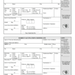 Printable Rabies Certificate – Fill Online, Printable In Dog Vaccination Certificate Template
