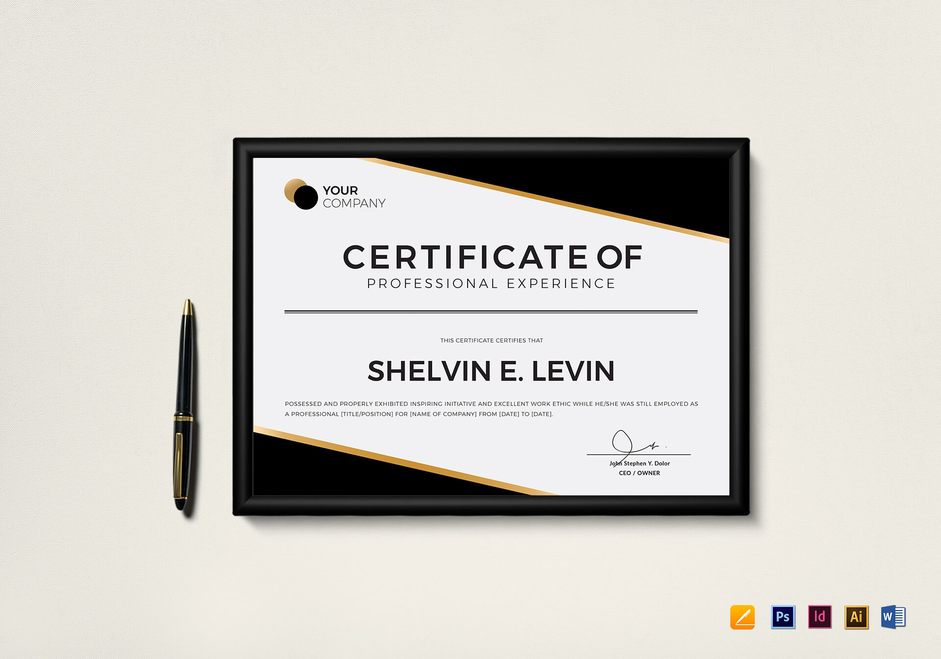 Professional Experience Certificate Template Pertaining To Mock Certificate Template