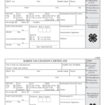 Rabies Vaccination Certificate – Fill Out And Sign Printable Pdf Template |  Signnow Regarding Rabies Vaccine Certificate Template
