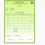 Report Card Generator Software, Student Report Card In Fake College Report Card Template