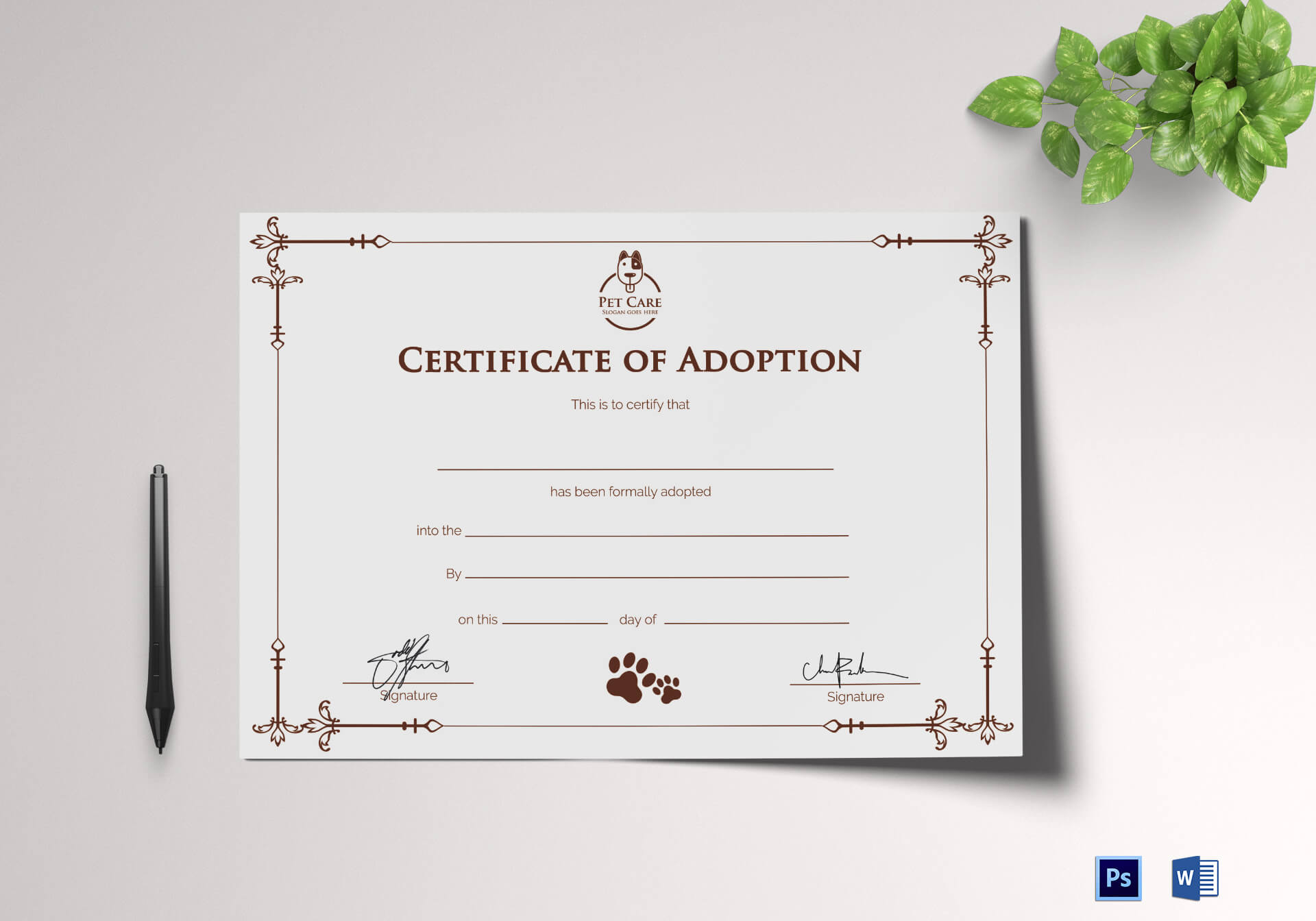 Simple Adoption Certificate Template With Adoption Certificate Template