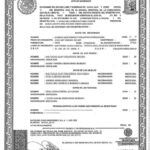 Spanish Birth Certificate Translation | Burg Translations Regarding Mexican Birth Certificate Translation Template