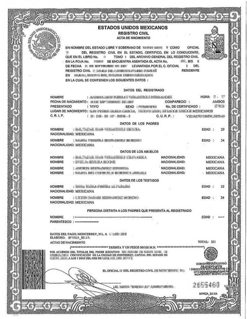 Uscis Birth Certificate Translation Template Sample Professional 