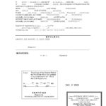 Spanish, Portuguese, German Translation – Legal And Business With Birth Certificate Translation Template