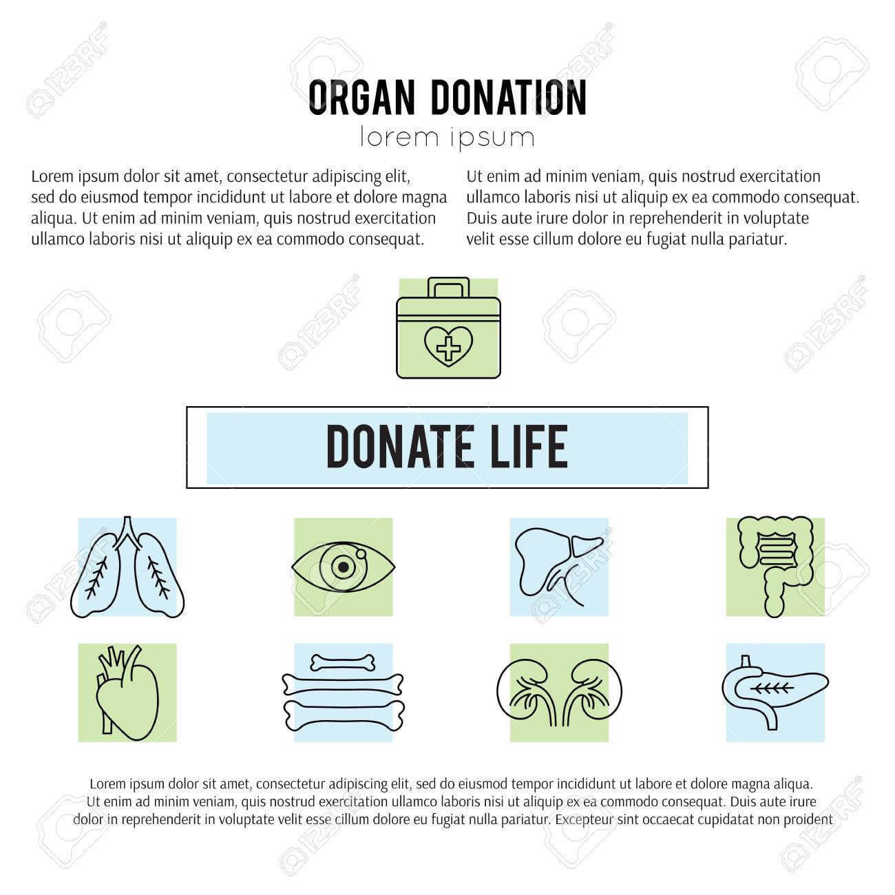 Square Banner Template. Organ Donation Thin Line Icons. Donate.. With Organ Donor Card Template