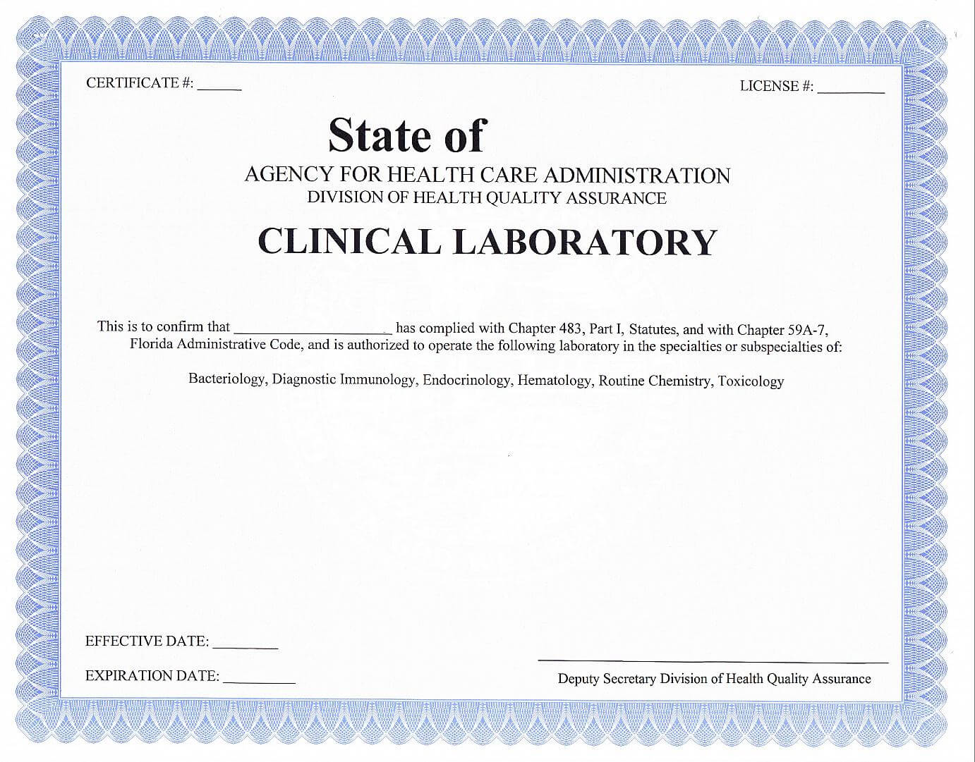 Testing Certificate Template – Certificate Templates Throughout Editable Birth Certificate Template