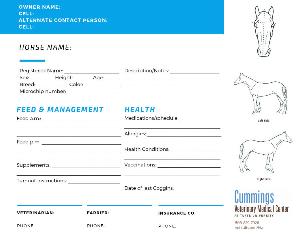 Travel Confidently – News Center At Cummings School Of Throughout Horse Stall Card Template
