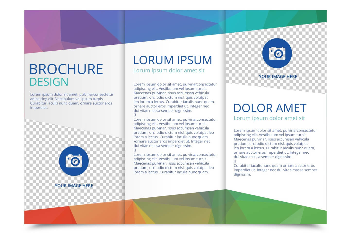 Tri Fold Brochure Vector Template - Download Free Vectors Throughout 3 Fold Brochure Template Free Download