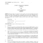 Usa Merchant Cash Advance Agreement With Corporate Credit Card Agreement Template