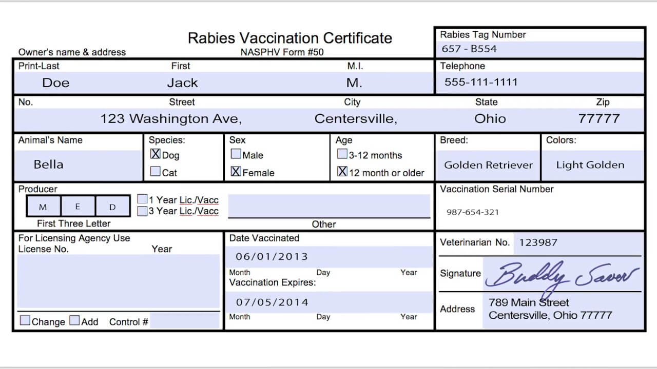 Usda Aphis | Travel Documentation – Rabies Vaccination With Rabies Vaccine Certificate Template