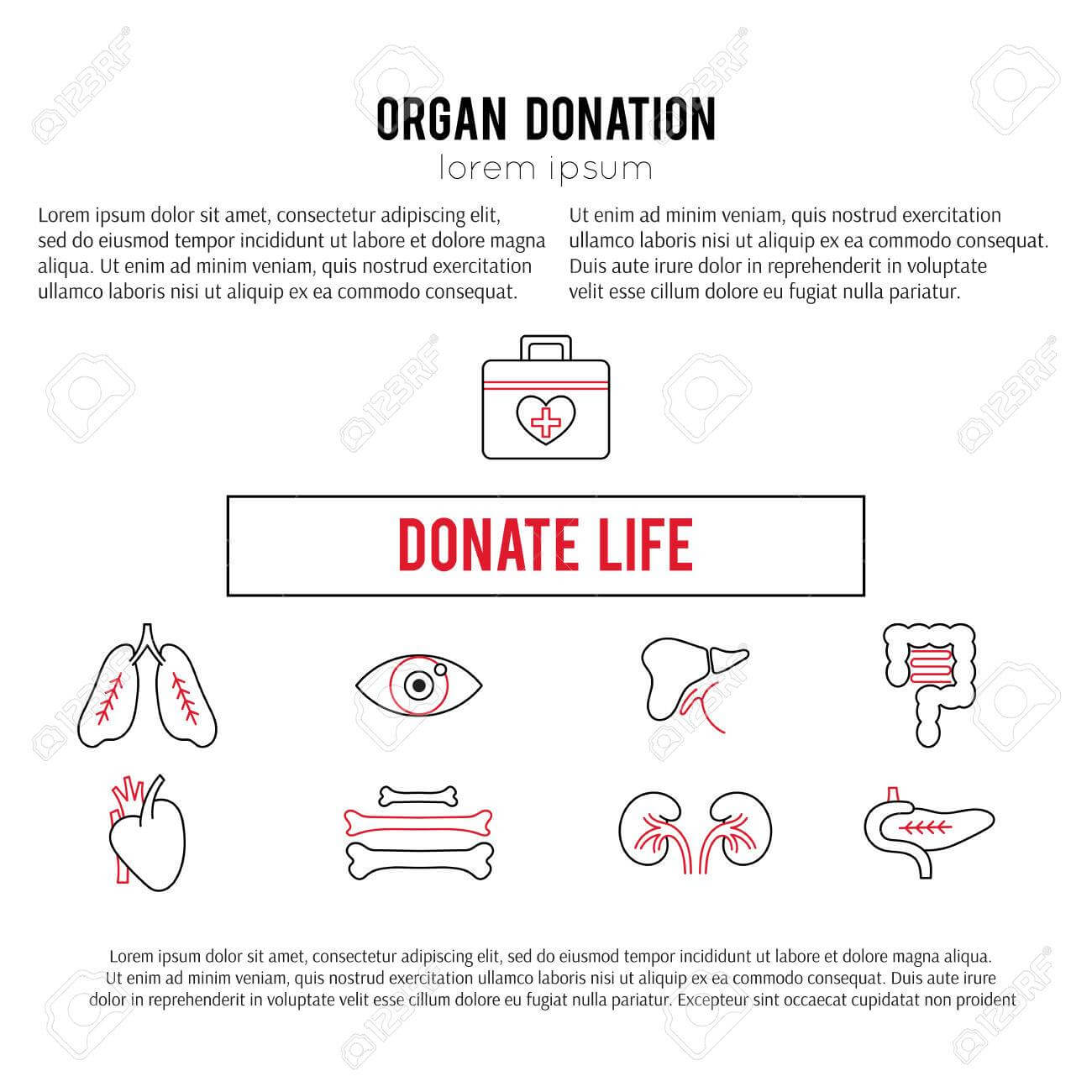 Vector Square Banner Template. Organ Donation Thin Line Icons For Organ Donor Card Template