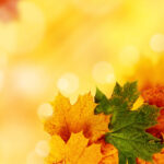 Yellow Autumn Background For Powerpoint - Nature Ppt Templates within Free Fall Powerpoint Templates