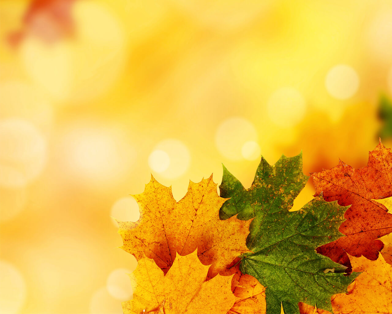 Yellow Autumn Background For Powerpoint - Nature Ppt Templates Within Free Fall Powerpoint Templates